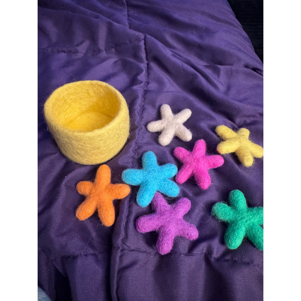 Handmade Felted Wool Star Sorting Toy Set Waldorf Montessori 7 Stars and Bowl